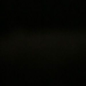 Meet your Posher, Lily